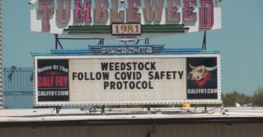 weedstock-covid