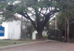 embajada de colombia en brasil